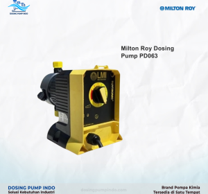 Pump Milton Roy PD063